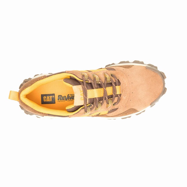 Sapatos Casual Caterpillar Intruder Beta Masculino Marrom | 052ZHGMFJ