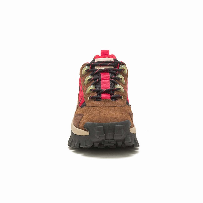 Sapatos Casual Caterpillar Intruder Beta Feminino Marrom Rosa | 501UADFPZ