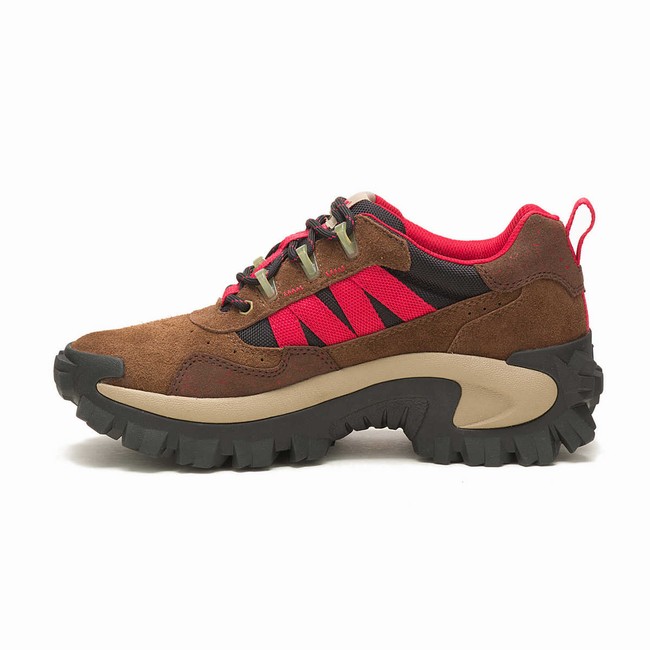 Sapatos Casual Caterpillar Intruder Beta Feminino Marrom Rosa | 501UADFPZ