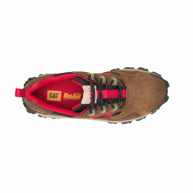 Sapatos Casual Caterpillar Intruder Beta Feminino Marrom Rosa | 501UADFPZ