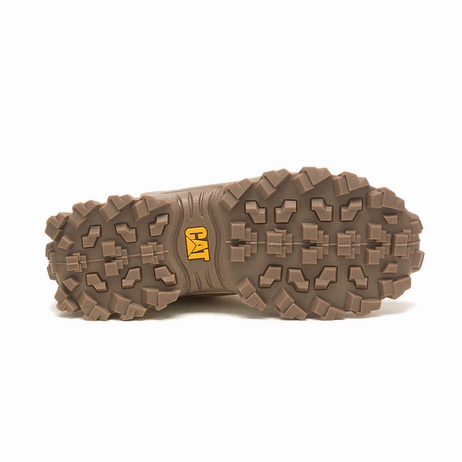 Sapatos Casual Caterpillar Intruder Beta Feminino Marrom | 128HZLDQW