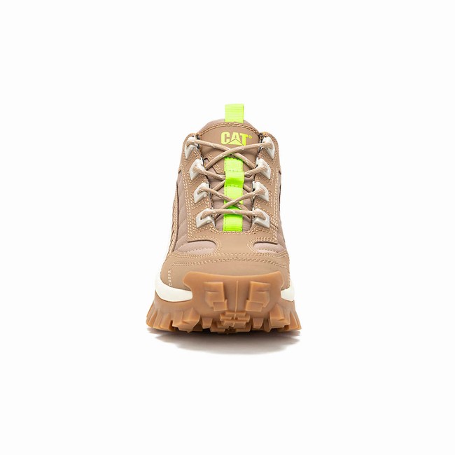 Sapatos Casual Caterpillar Intruder Masculino Marrom | 832FPAMYO