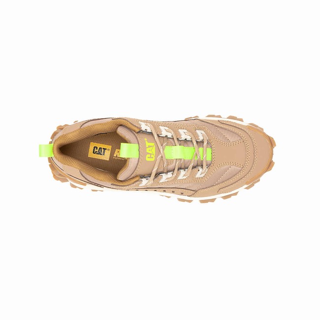 Sapatos Casual Caterpillar Intruder Masculino Marrom | 832FPAMYO