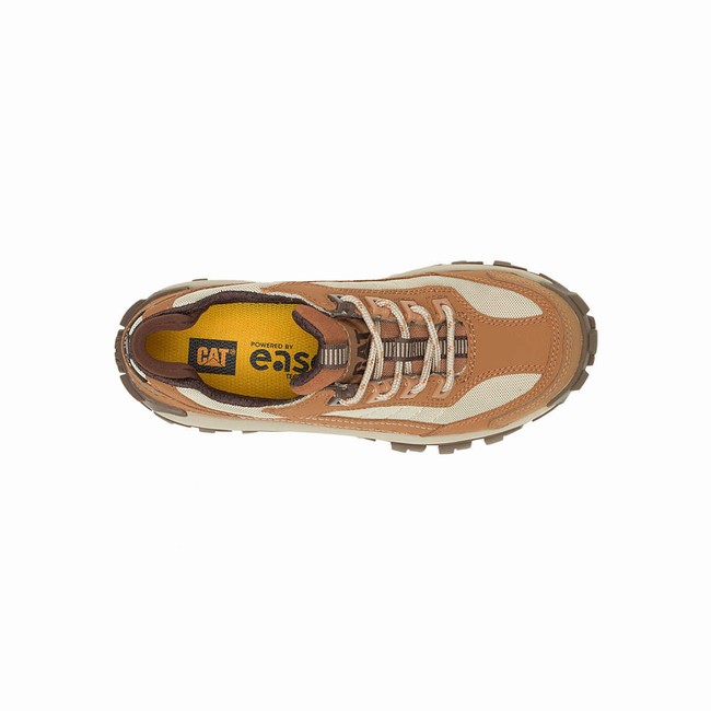 Sapatos de Trabalho Caterpillar Invader Steel Toe Feminino Marrom | 532JFKQNC